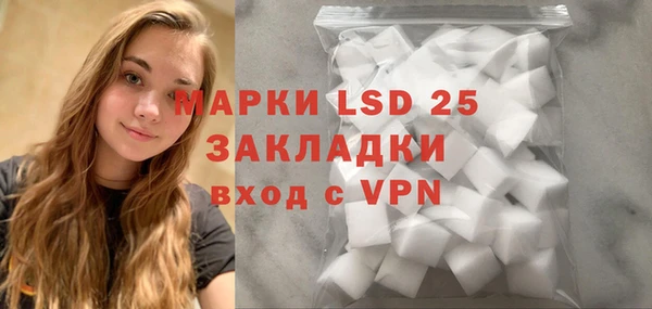 spice Новодвинск