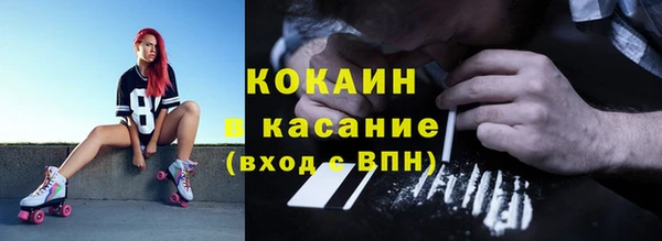 соль ск Алзамай