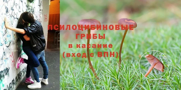 соль ск Алзамай
