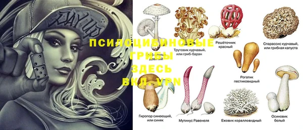 мяу мяу мука Алексеевка