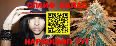 стафф Будённовск