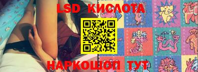 стафф Будённовск