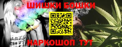 стафф Будённовск