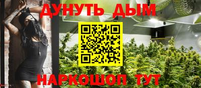 стафф Будённовск