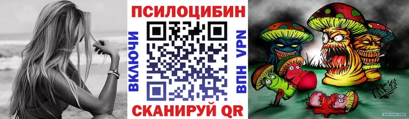 Галлюциногенные грибы Psilocybe  кракен зеркало  Осинники 