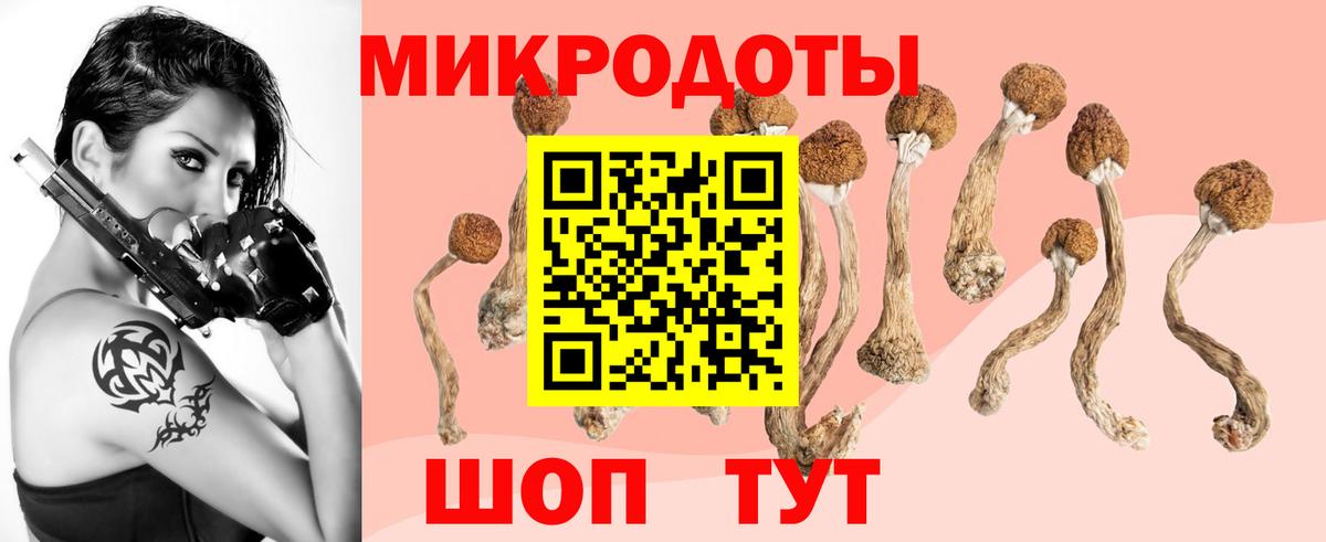 Осинники  Псилоцибиновые грибы Cubensis  хочу   Вход с VPN 